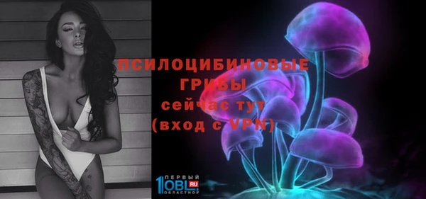 ECSTASY Арсеньев