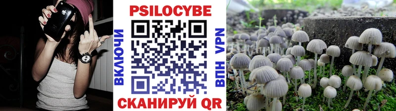 Псилоцибиновые грибы MAGIC MUSHROOMS  Зима 