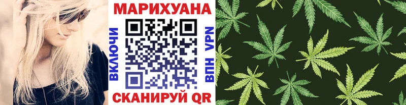 купить закладку  mega ссылка  Бошки марихуана Amnesia  Зима 